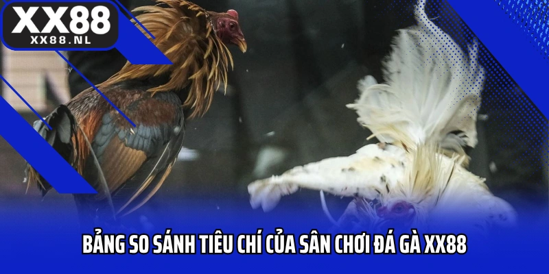 Bảng so sánh tiêu chí của sân chơi đá gà XX88